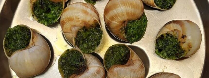 escargots à bucarest